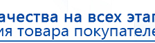 ЧЭНС-02-Скэнар купить в Белово, Аппараты Скэнар купить в Белово, Медицинская техника - denasosteo.ru